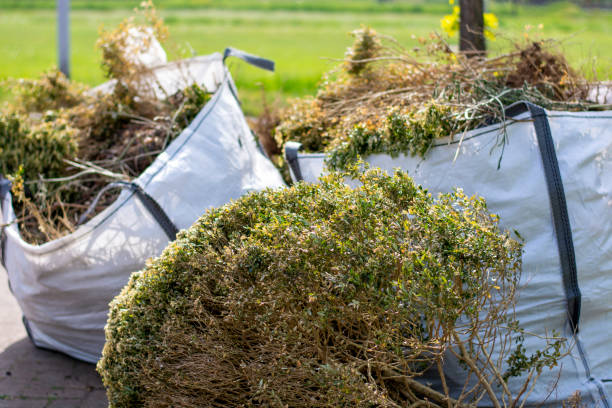Best Junk Removal Near Me  in Allouez, WI